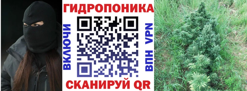 Вейп ТГК Оса