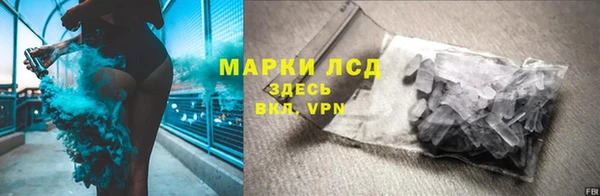 ПСИЛОЦИБИНОВЫЕ ГРИБЫ Няндома