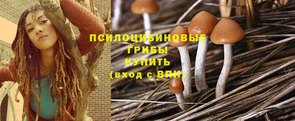 мдпв Аксай