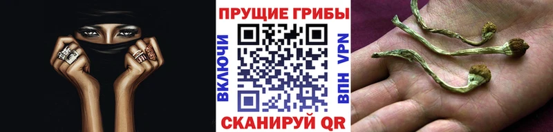 Галлюциногенные грибы Magic Shrooms  Оса 